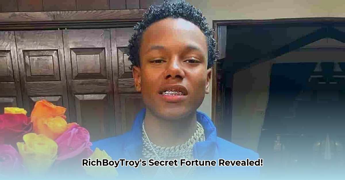 richboytroy-net-worth